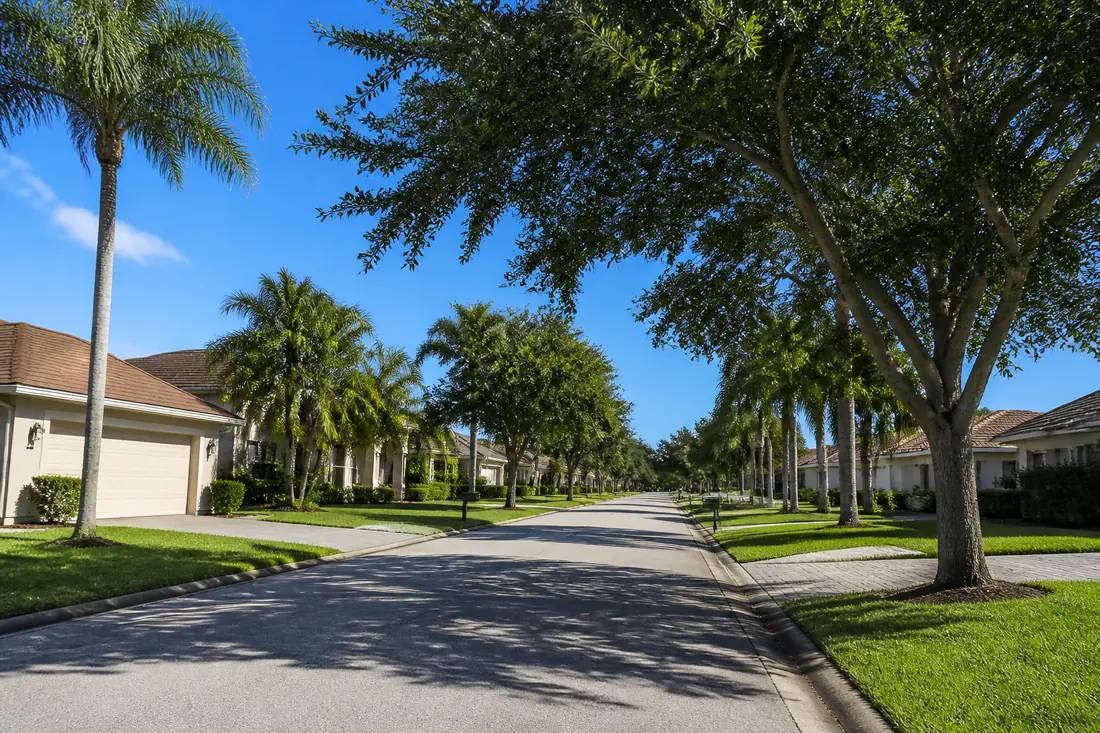 A suburban street lined with mature trees and closely spaced houses